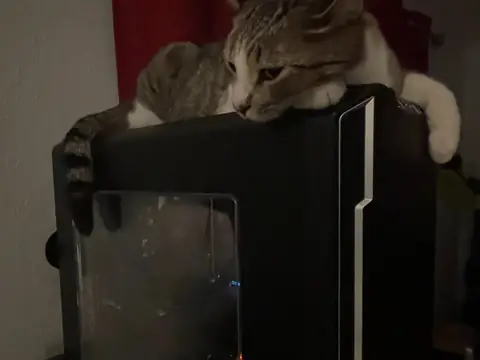 Pancho stretched out on top of a computer case.