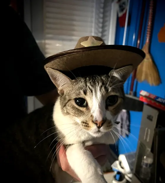 Pancho in a cowboy hat, wanted for unlawful napping.